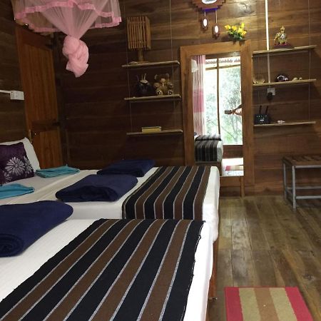 Ella Nature Nest エクステリア 写真