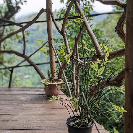 Ella Nature Nest エクステリア 写真