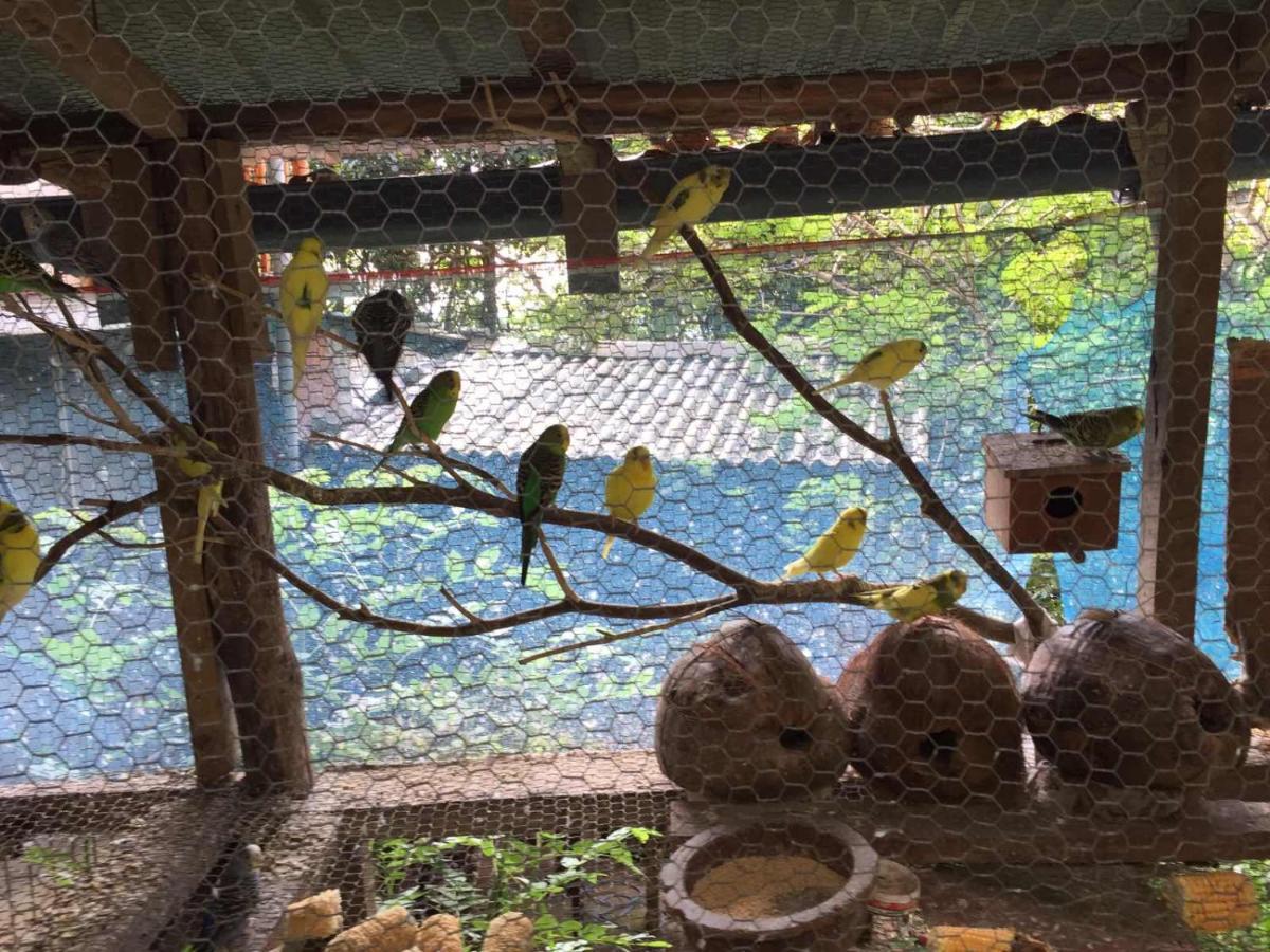 Ella Nature Nest エクステリア 写真