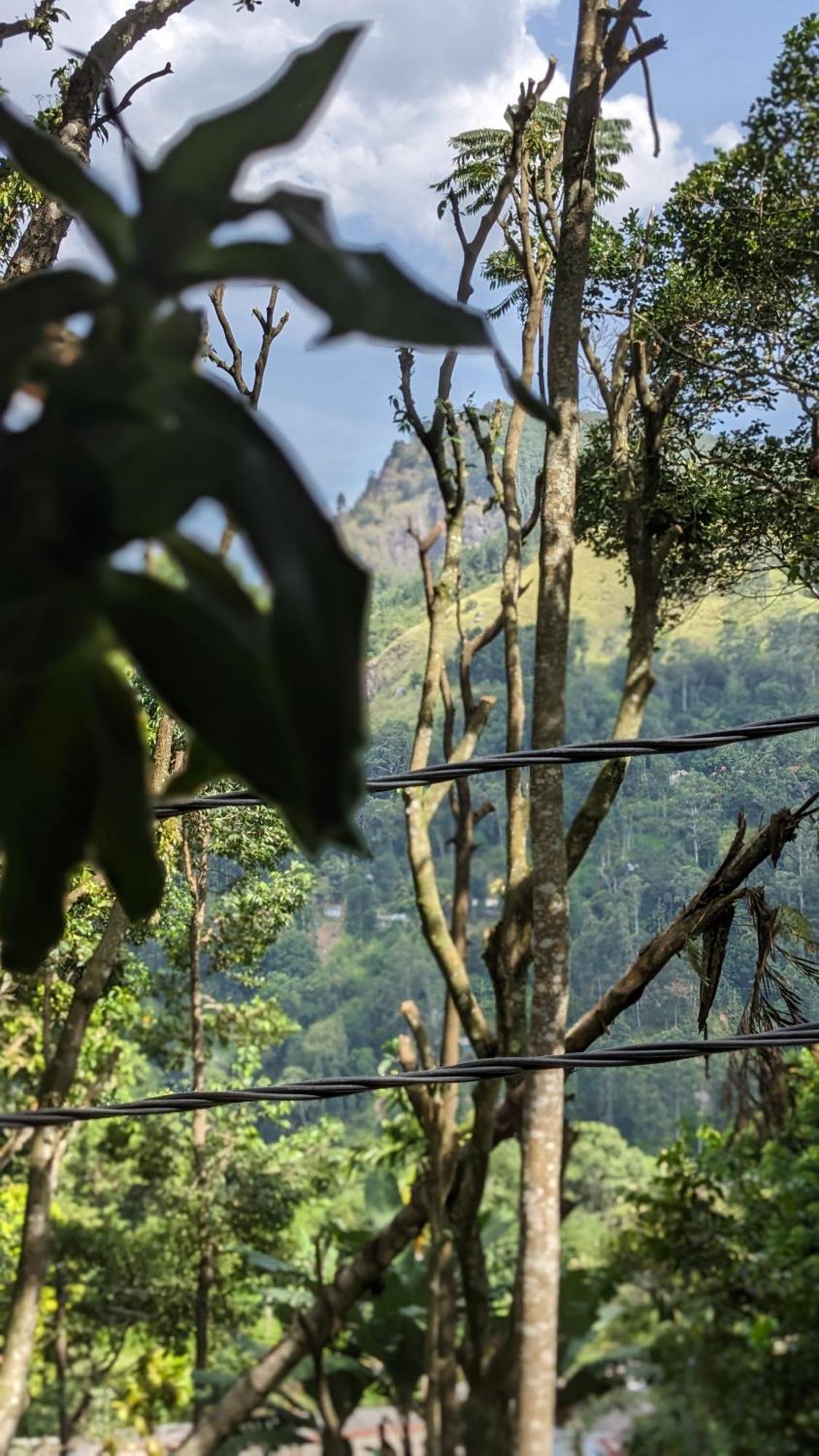 Ella Nature Nest エクステリア 写真