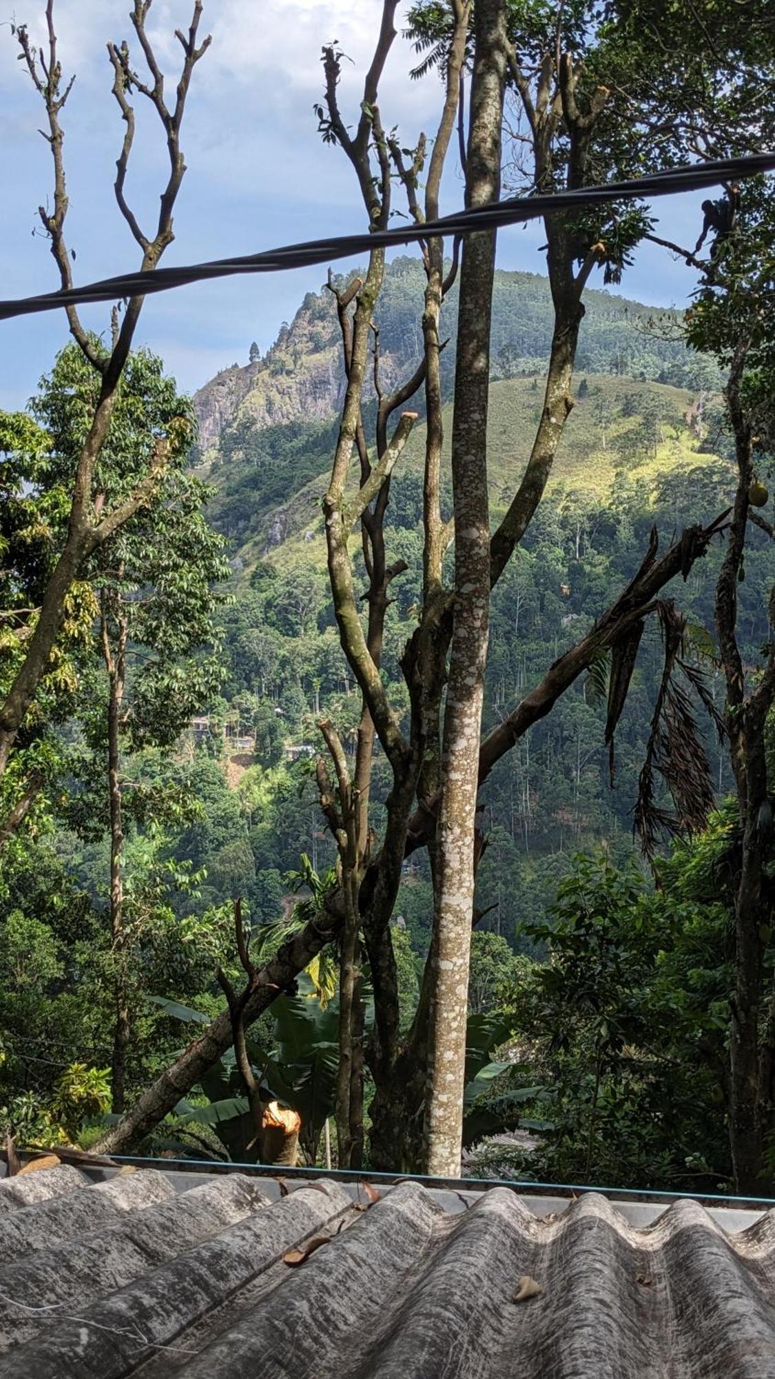 Ella Nature Nest エクステリア 写真