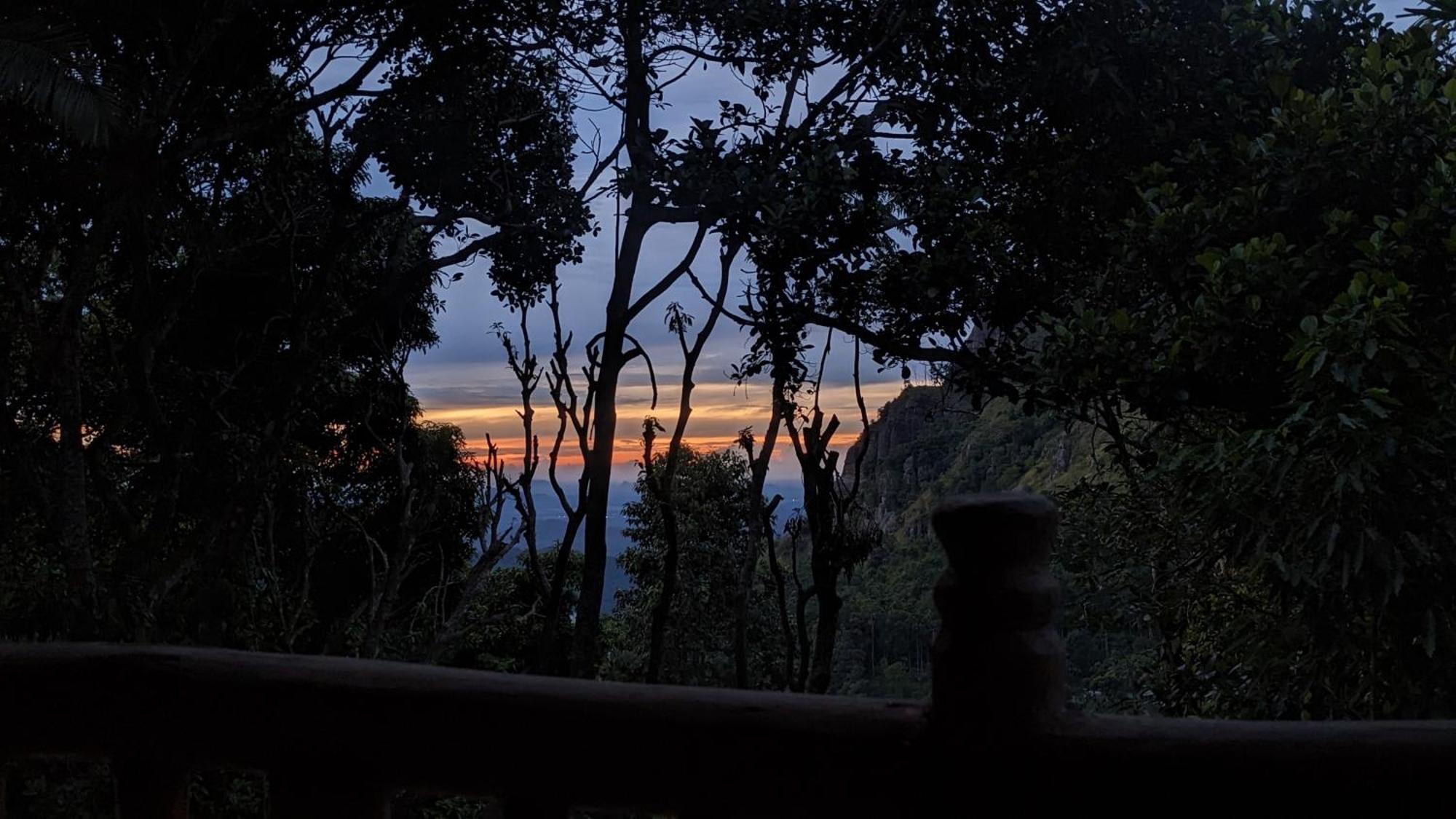 Ella Nature Nest エクステリア 写真
