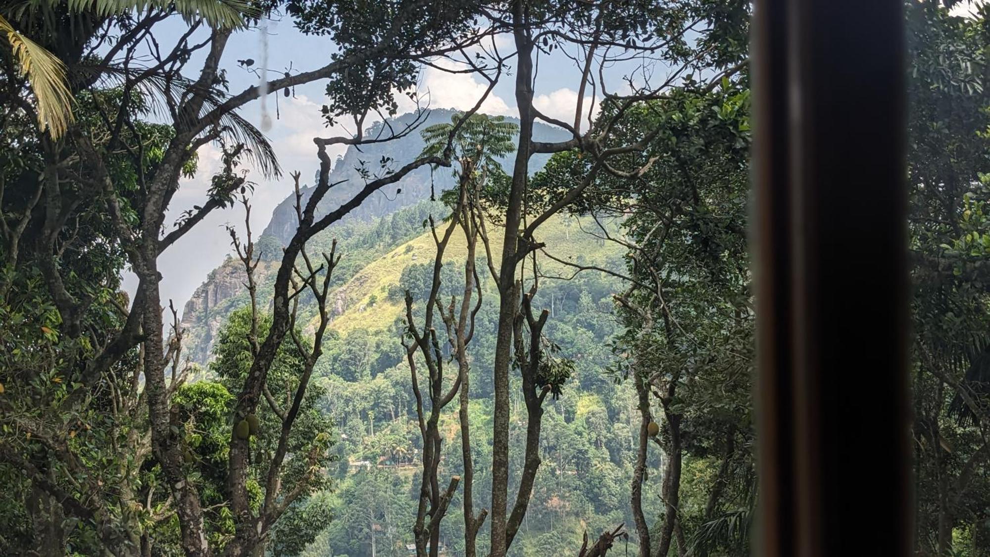 Ella Nature Nest エクステリア 写真