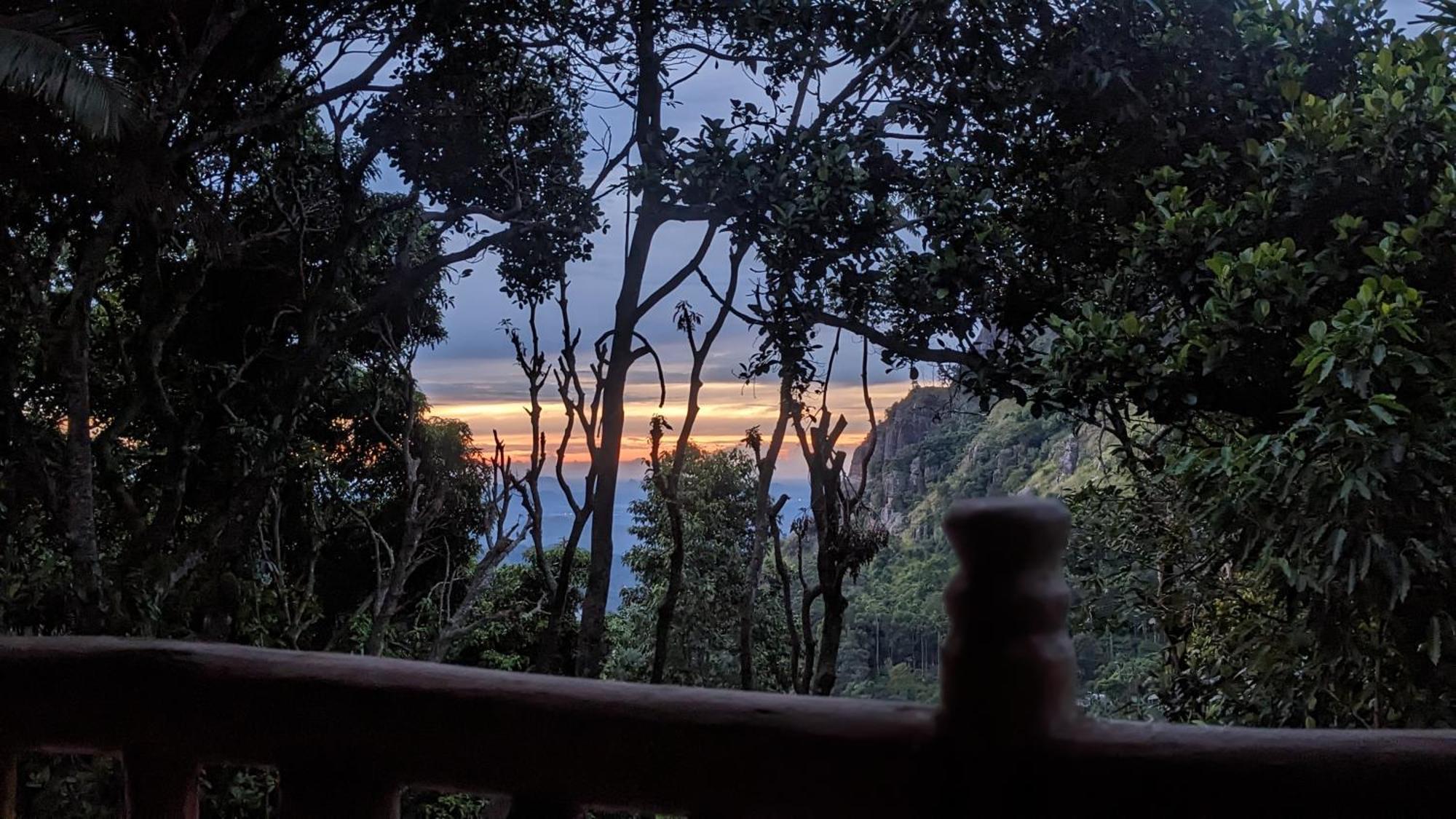 Ella Nature Nest エクステリア 写真