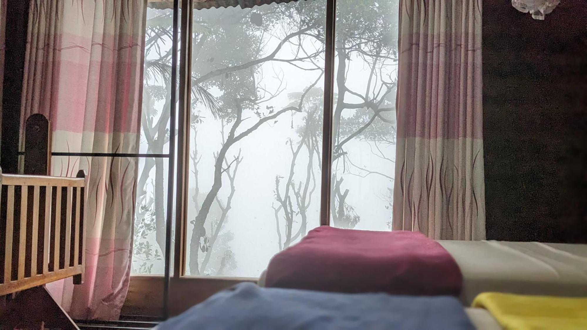 Ella Nature Nest エクステリア 写真
