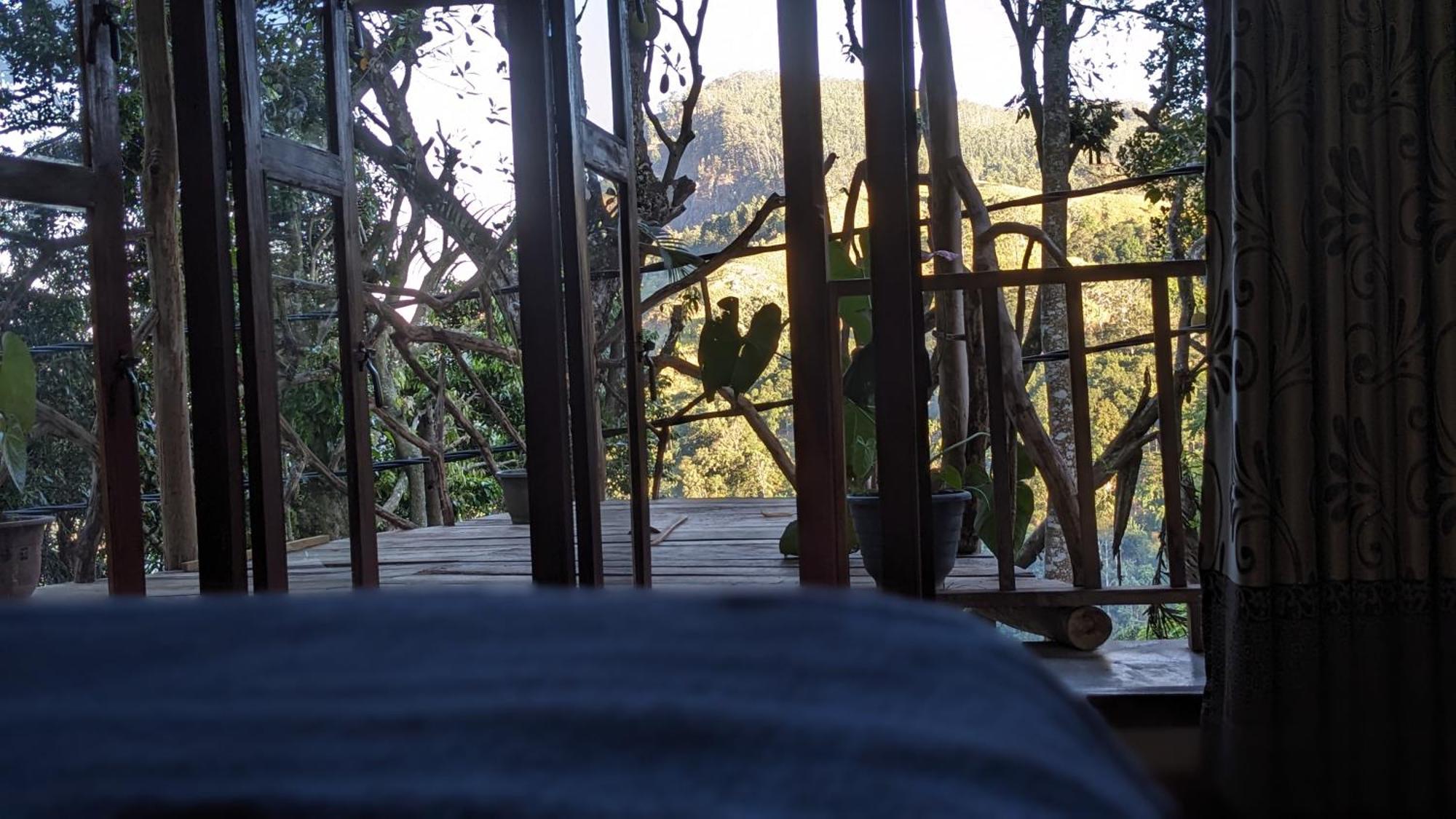 Ella Nature Nest 部屋 写真