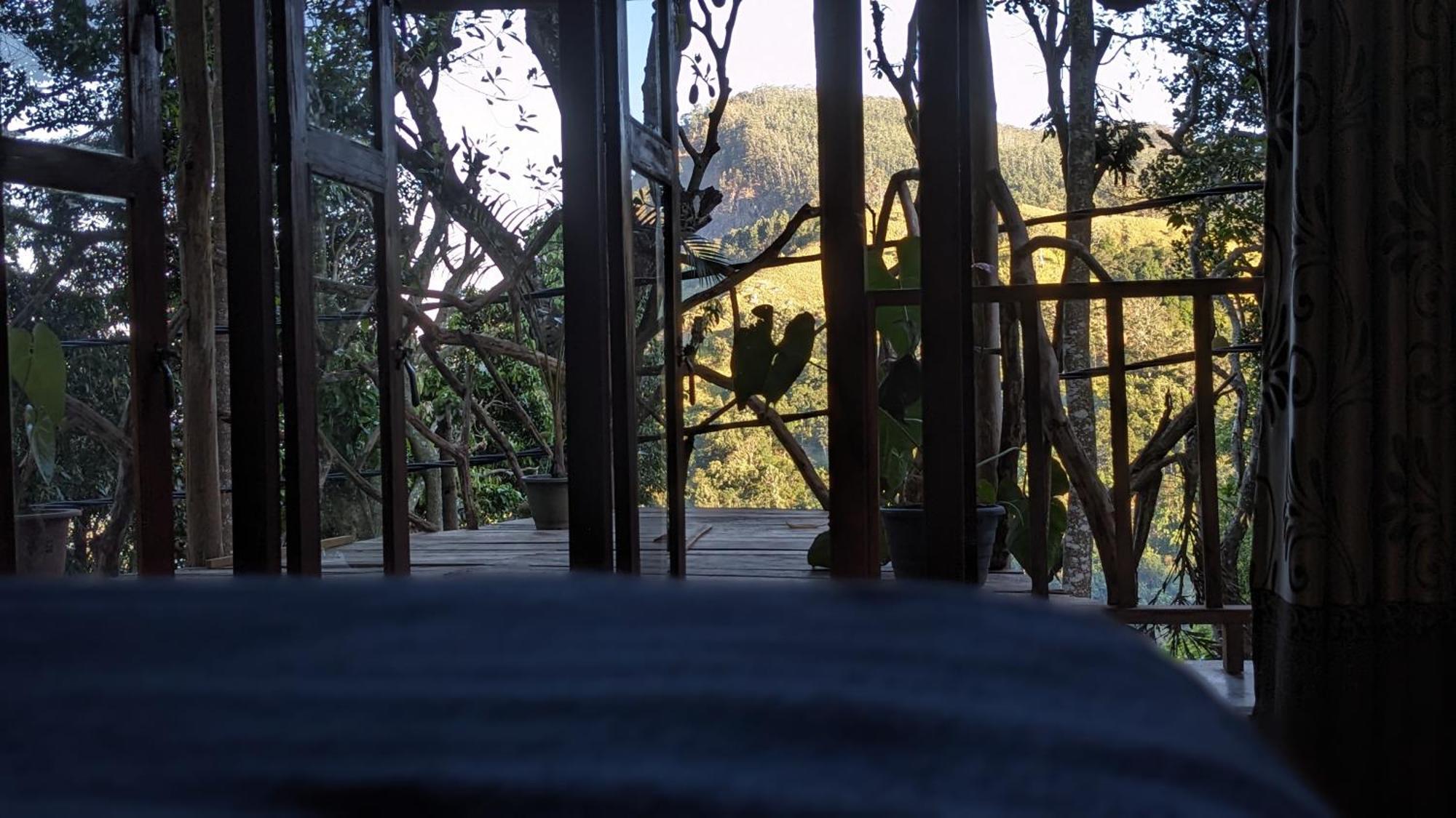 Ella Nature Nest 部屋 写真