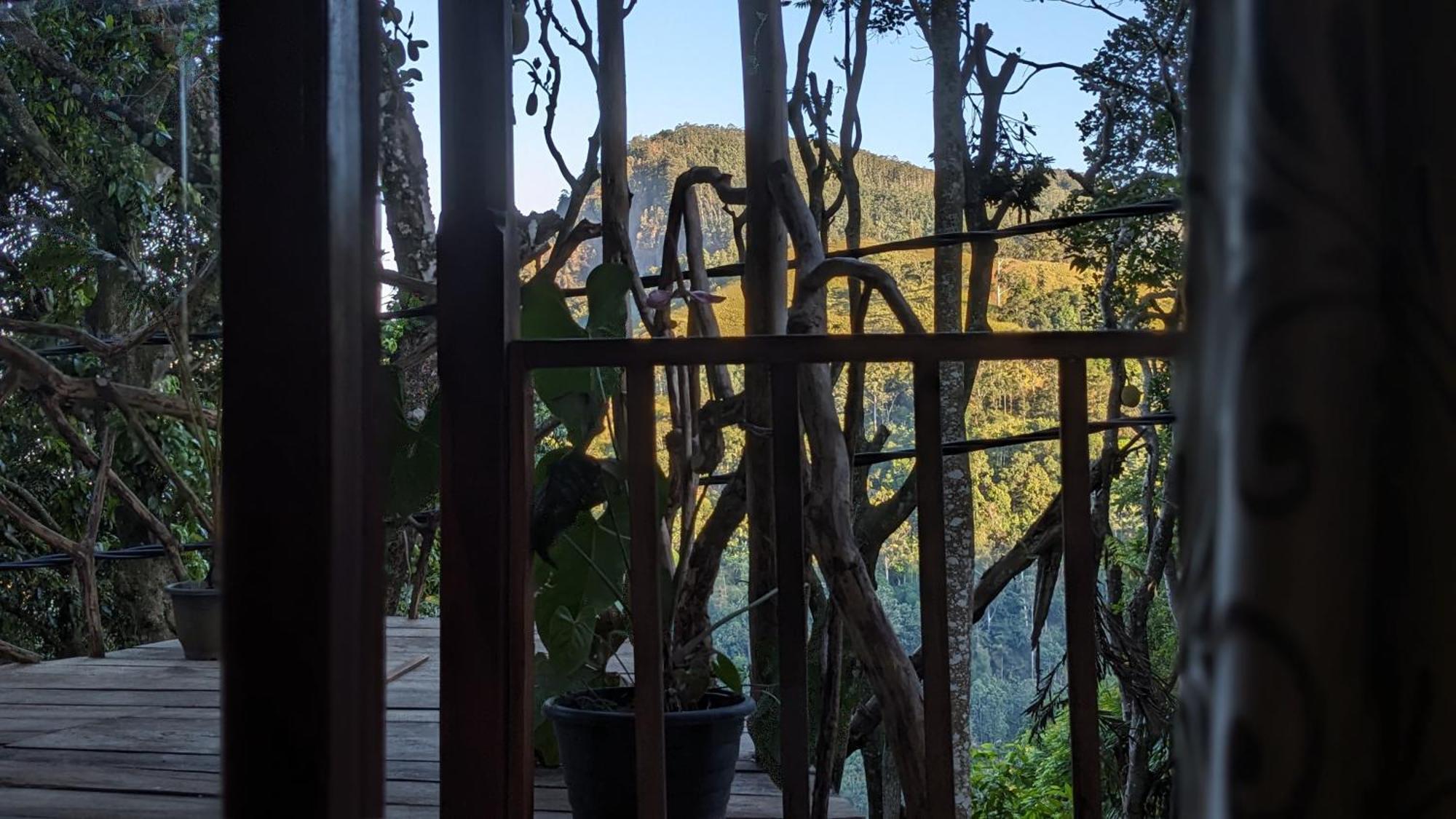 Ella Nature Nest 部屋 写真
