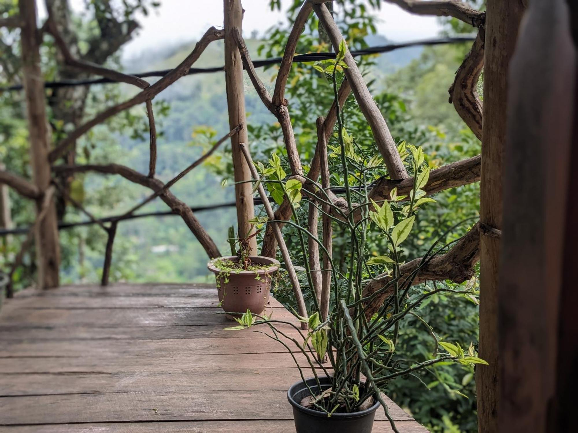 Ella Nature Nest エクステリア 写真
